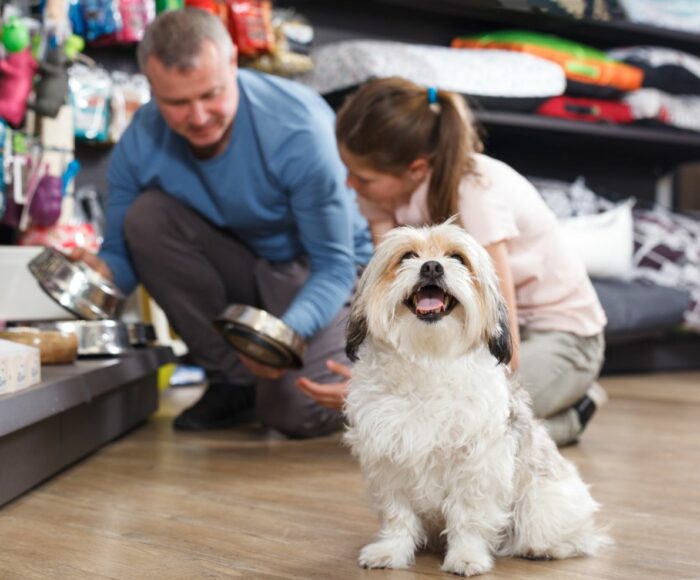 Dog Friendly Stores