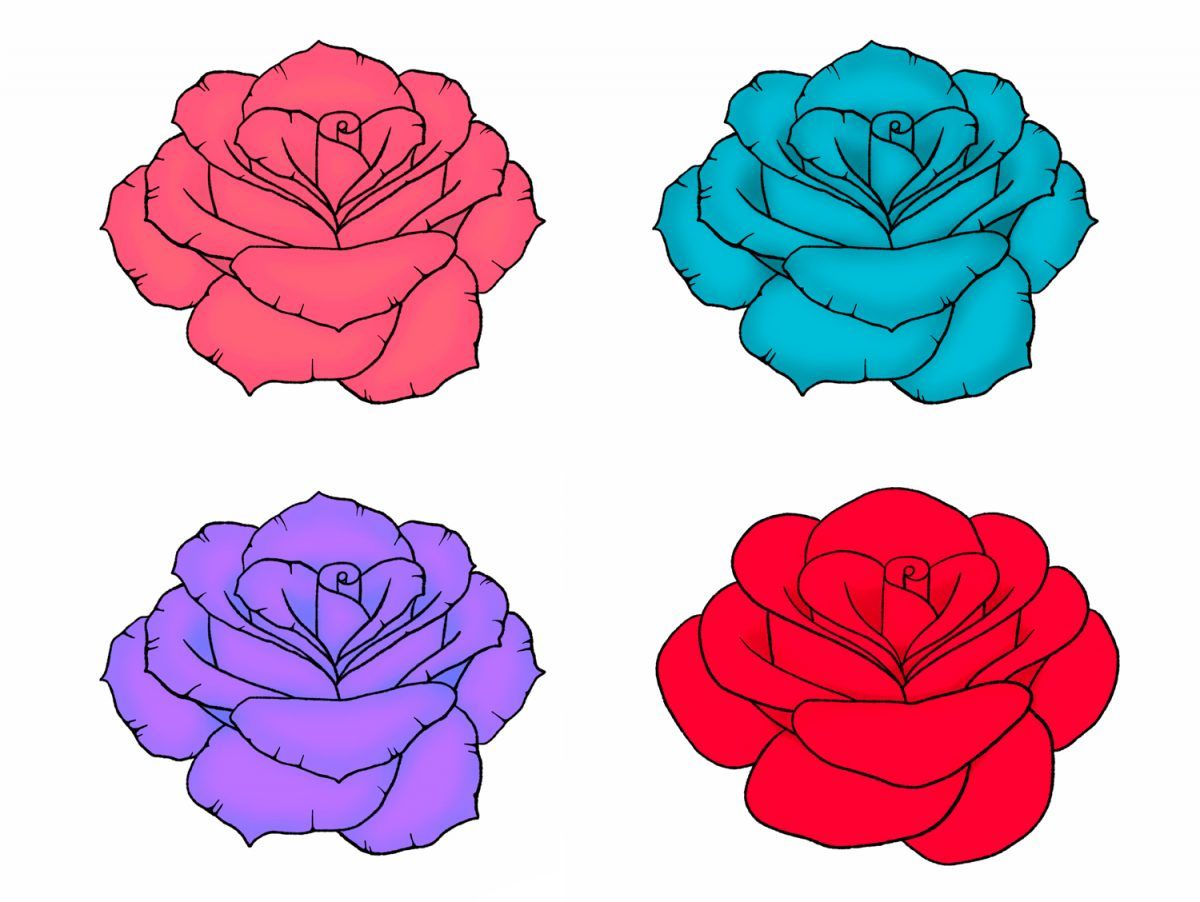 Draw a Rose on Paper or in a Program