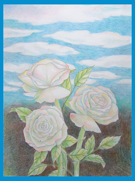 Drawing White Roses