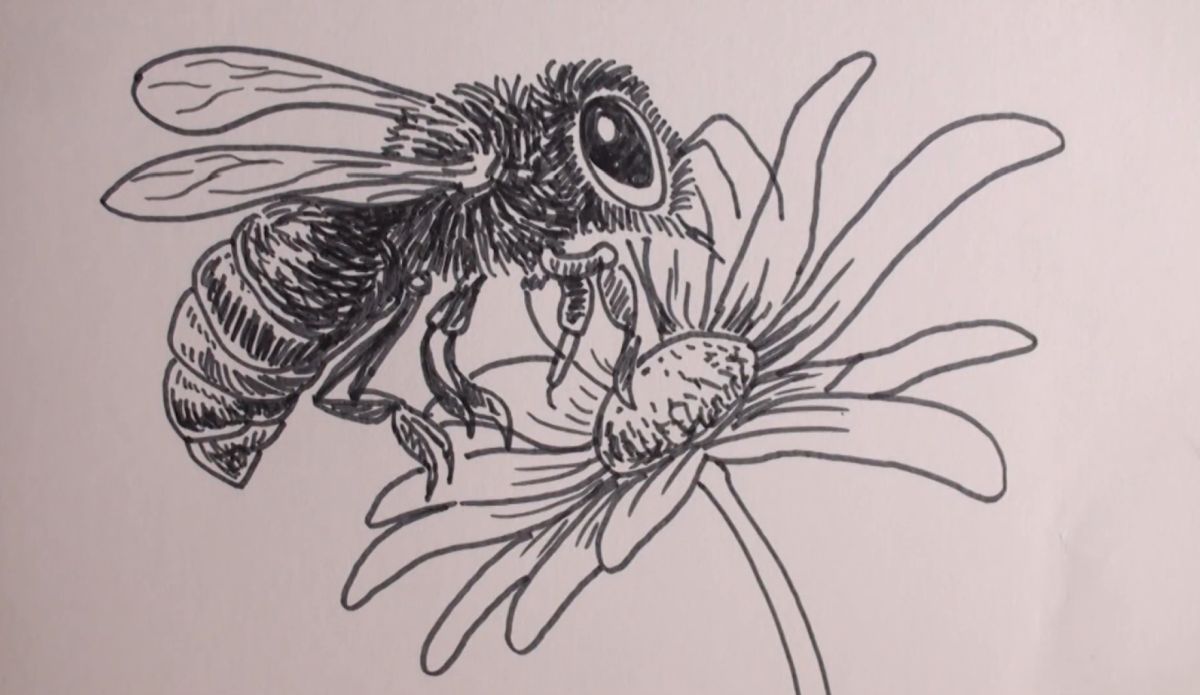 Drawing a Bee on a Flower Tutorial