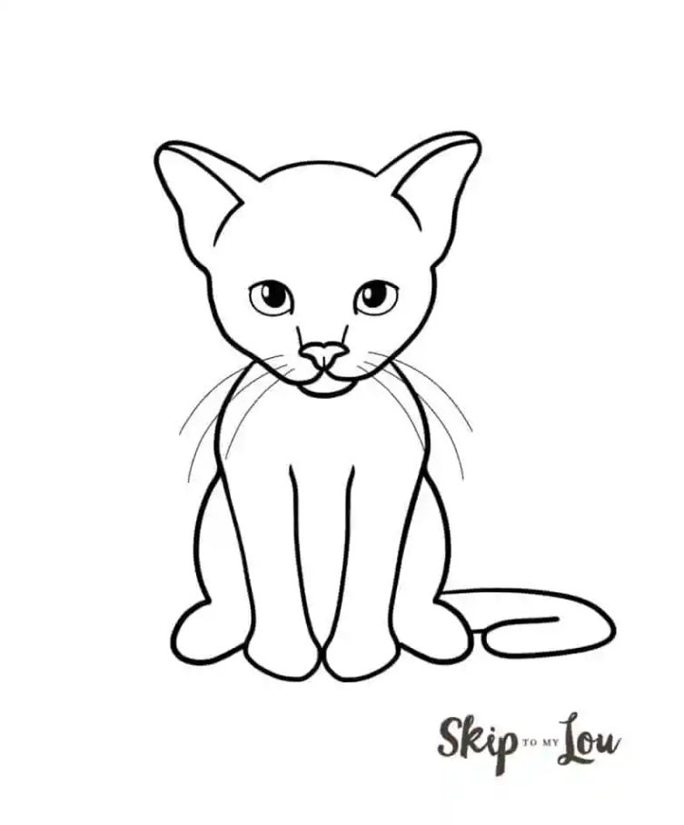 Easy Cat Drawing