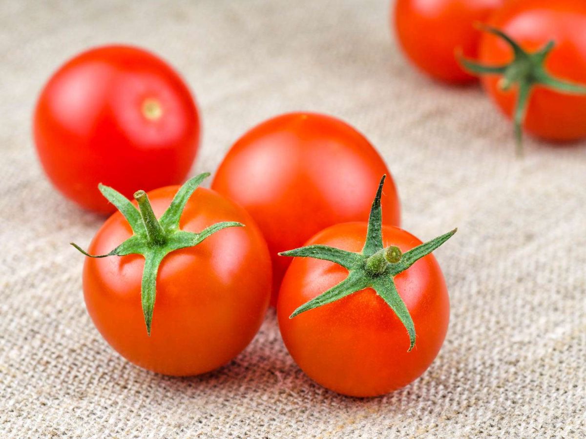 Enchantment Tomatoes