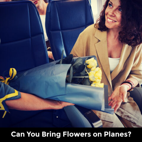 Can You Bring Flowers on Planes?