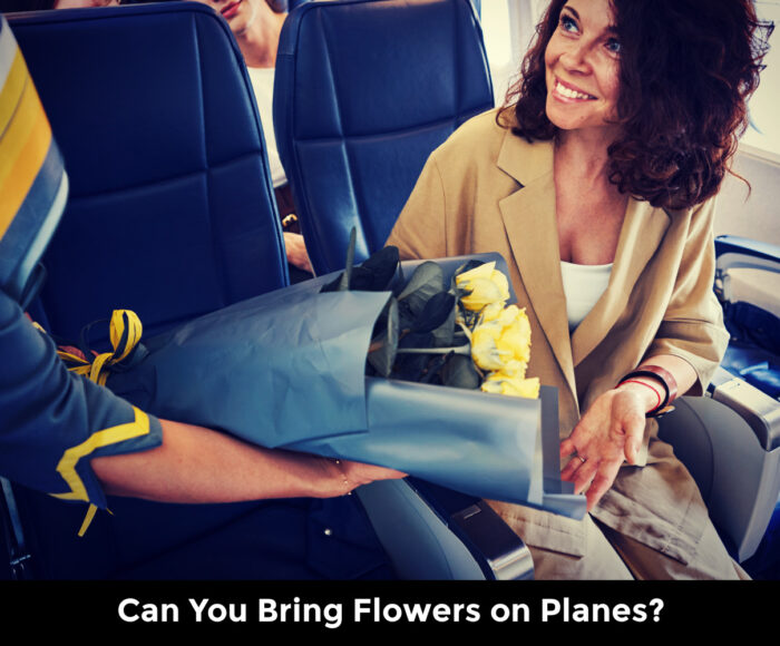 Can You Bring Flowers on Planes?