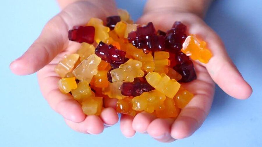 Fruit and Honey Gummy Bears