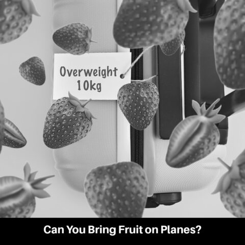 Can You Bring Fruit on Planes?