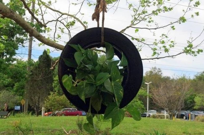 Hanging Plant in Tire