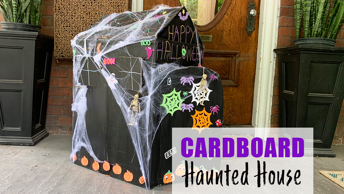 cardboard box house Haunted Cardboard Box Home