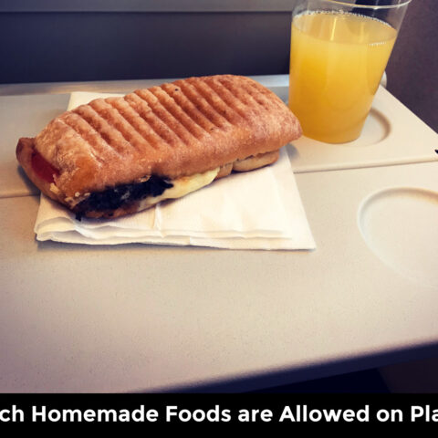 Guide to Bringing Homemade Food on Planes