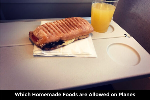 Guide to Bringing Homemade Food on Planes