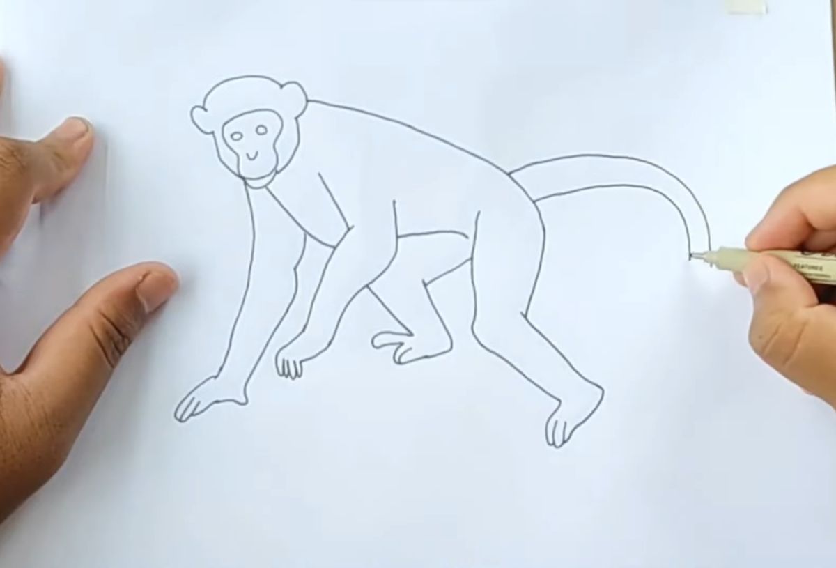 How To Draw A Simple Monkey