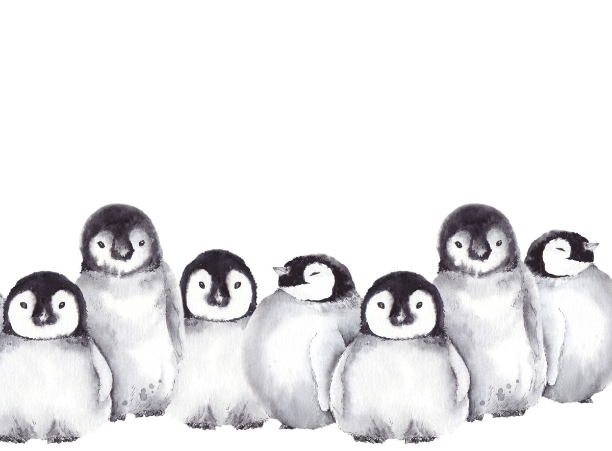 How To Draw a Penguin: 10 Easy Drawing Projects