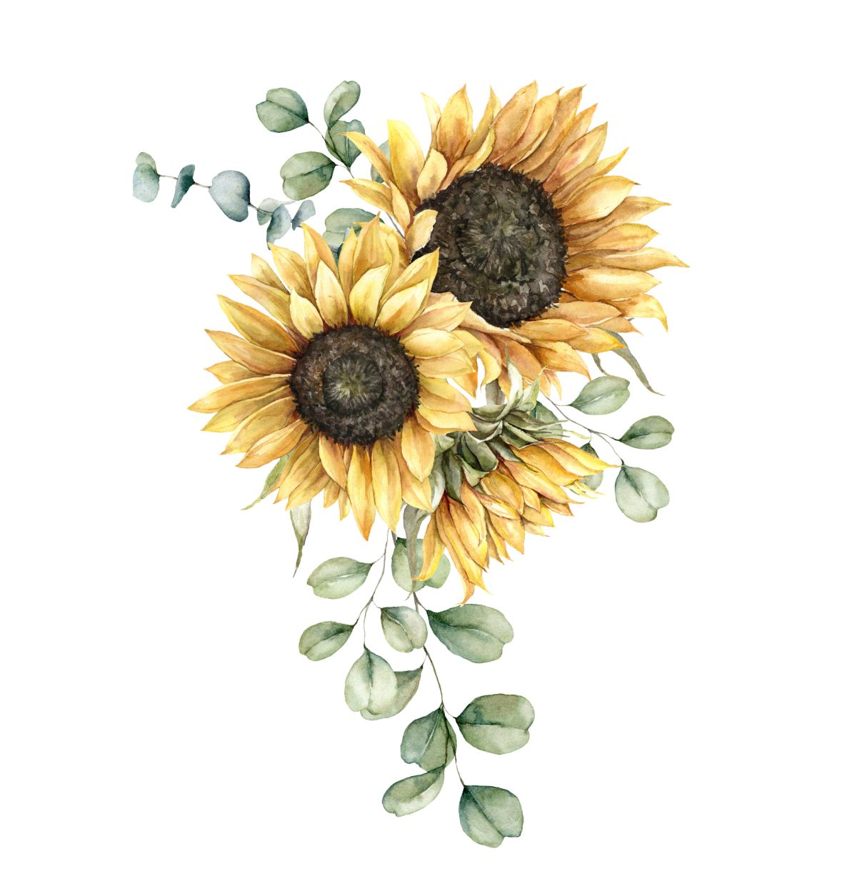 How To Draw a Sunflower