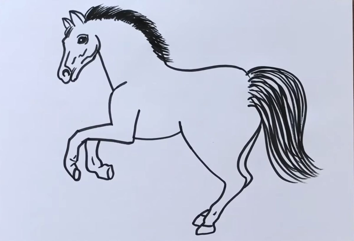 How to Draw A Horse From Numbers