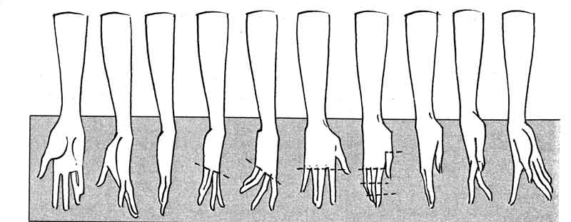 How to Draw Hands For Fashion Drawings