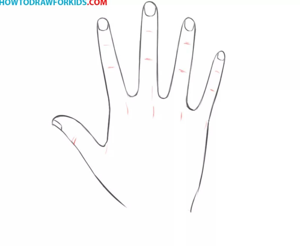 How to Draw Hands For Kids