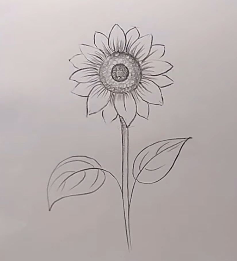 How to Draw Sunflowers and Wildflowers