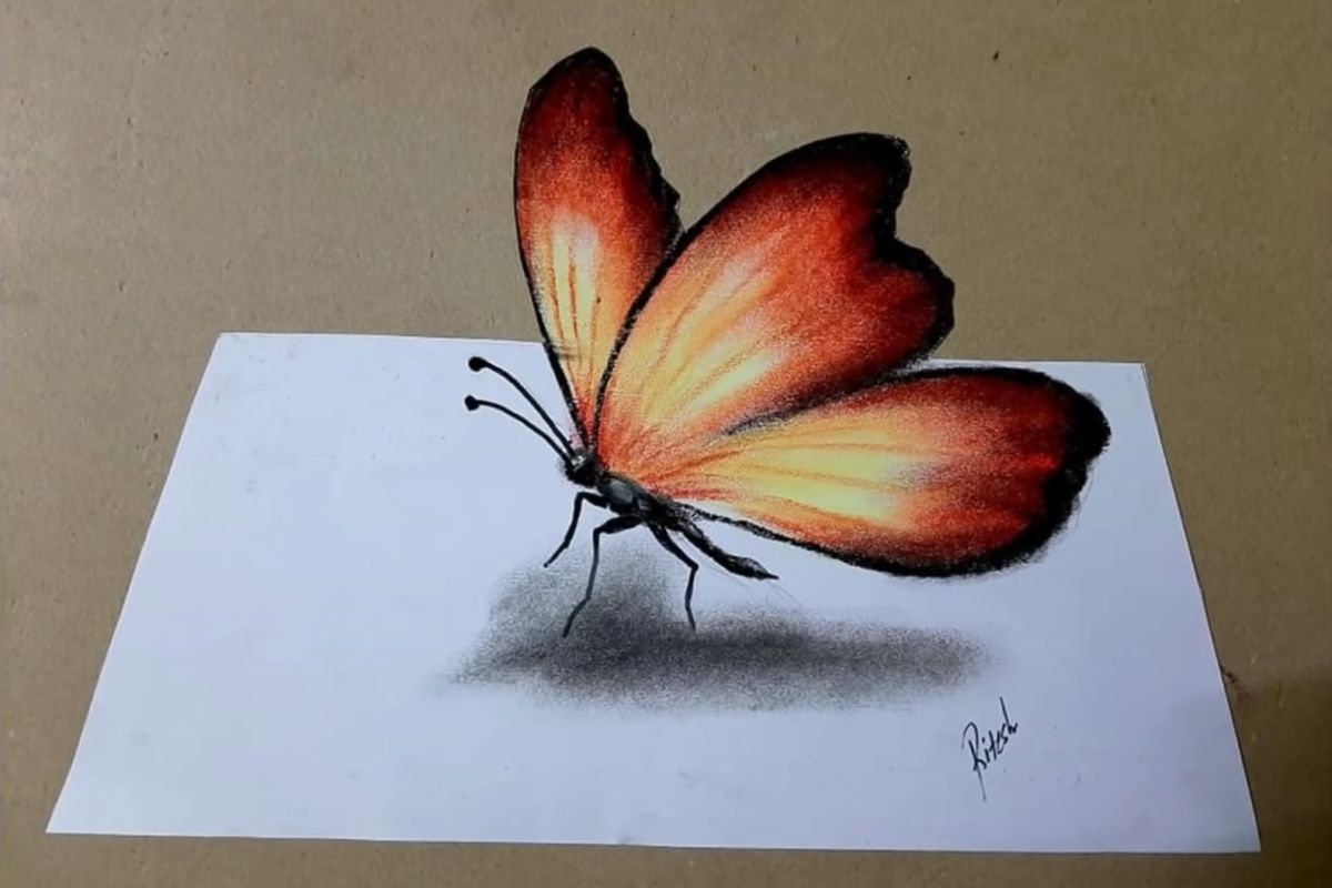 How to Draw a 3-D Butterfly 