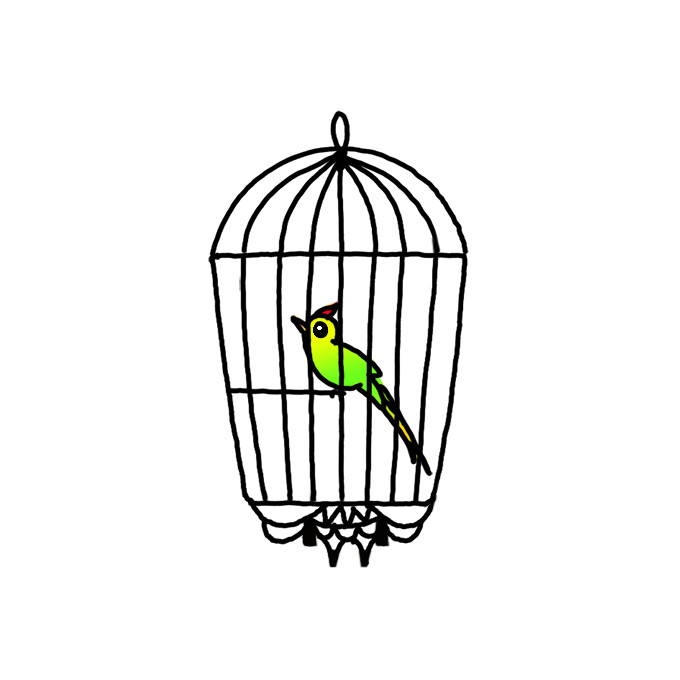 How to Draw a Bird in a Cage