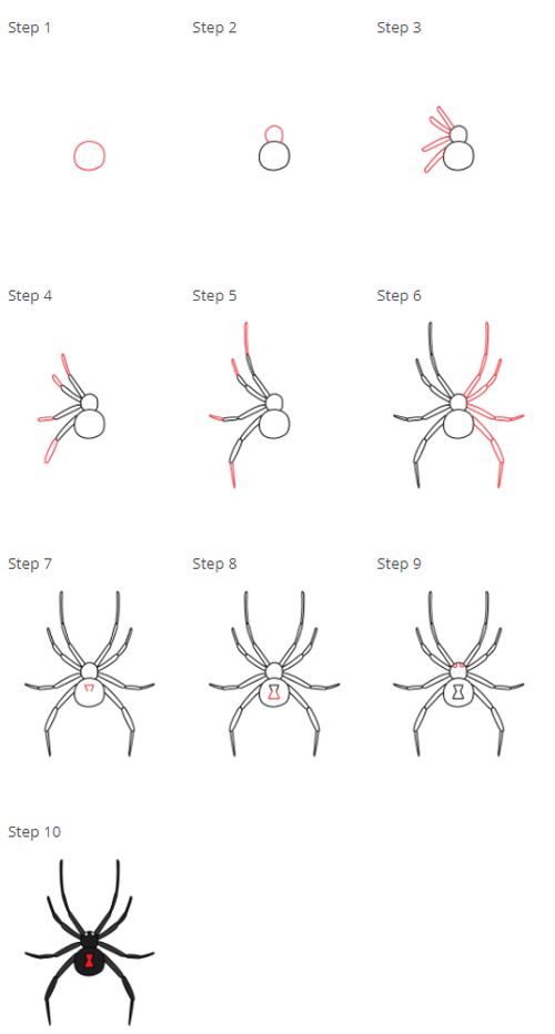 How to Draw a Black Widow Spider