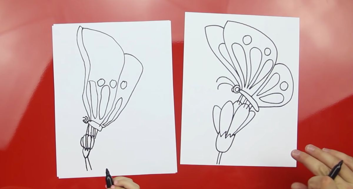 How to Draw a Butterfly on a Flower