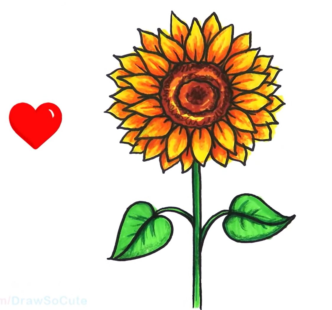 How to Draw a Cartoon Sunflower