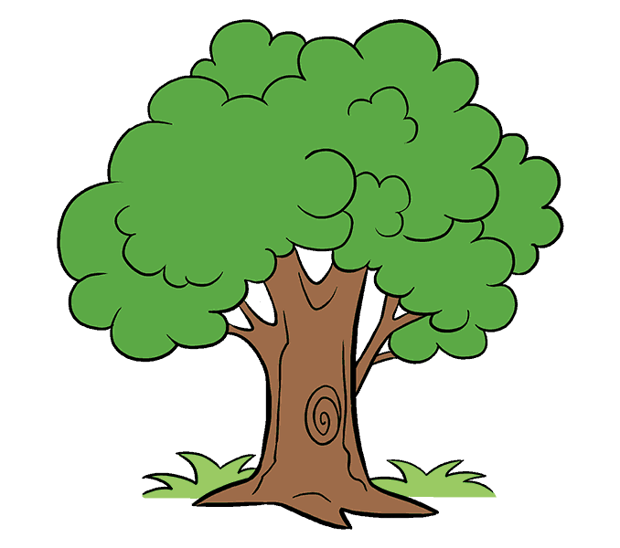How to Draw a Cartoon Tree