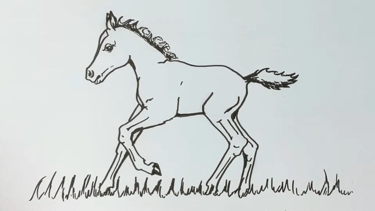 How to Draw a Foal