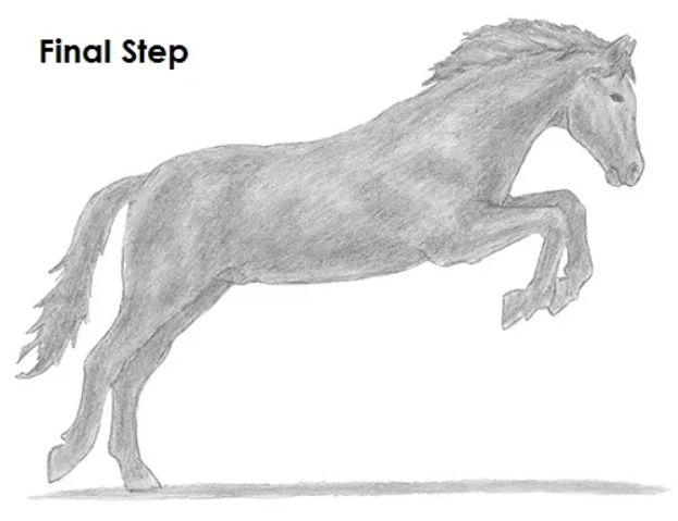 How to Draw a Jumping Horse