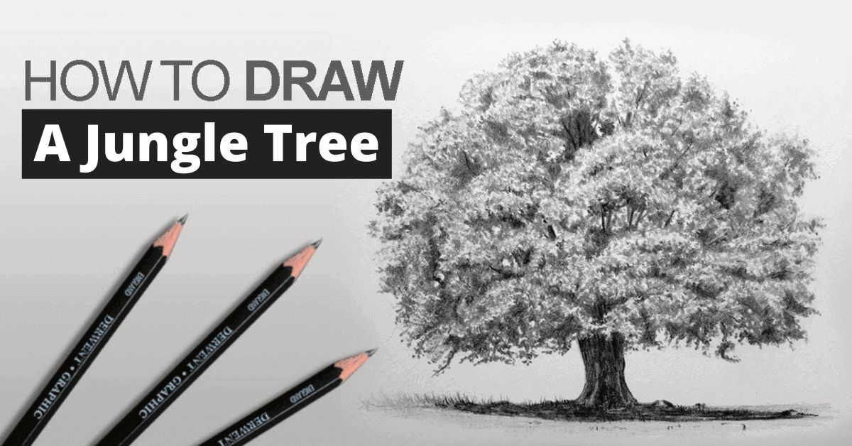 How to Draw a Jungle Tree