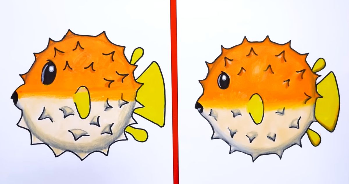 How to Draw a Puffer Fish