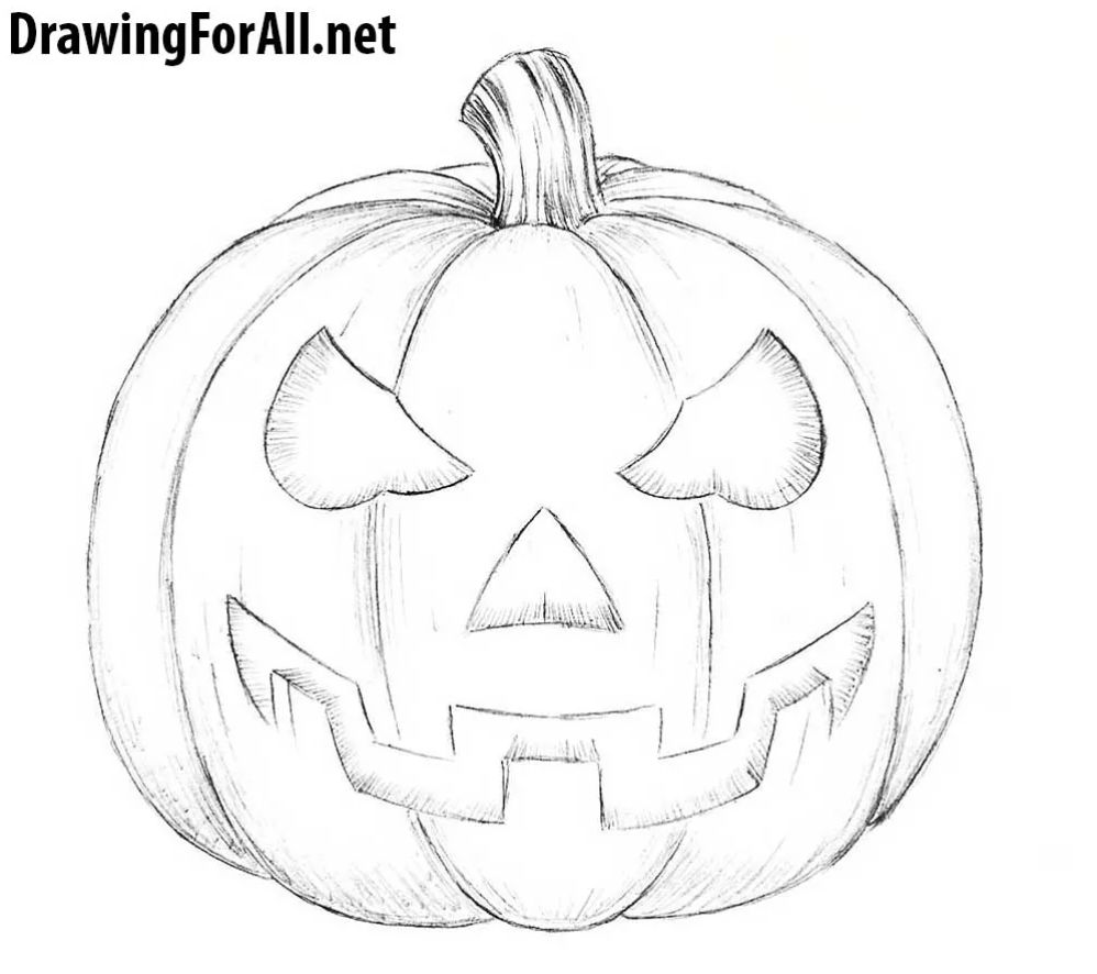 How to Draw a Realistic Line Art Pumpkin