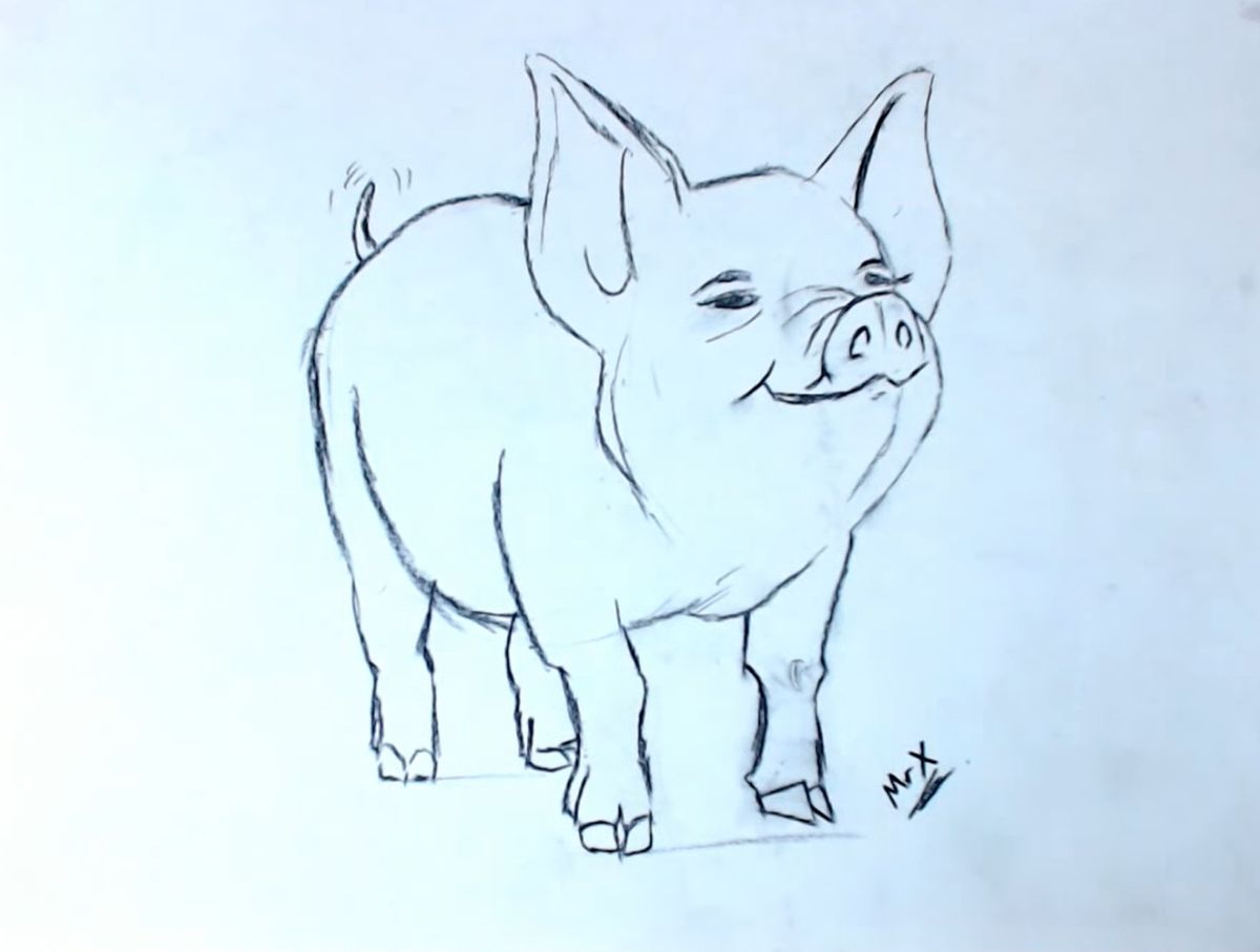 How to Draw a Realistic Pig