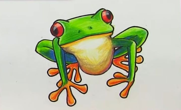 How to Draw a Red-Eyed Tree Frog