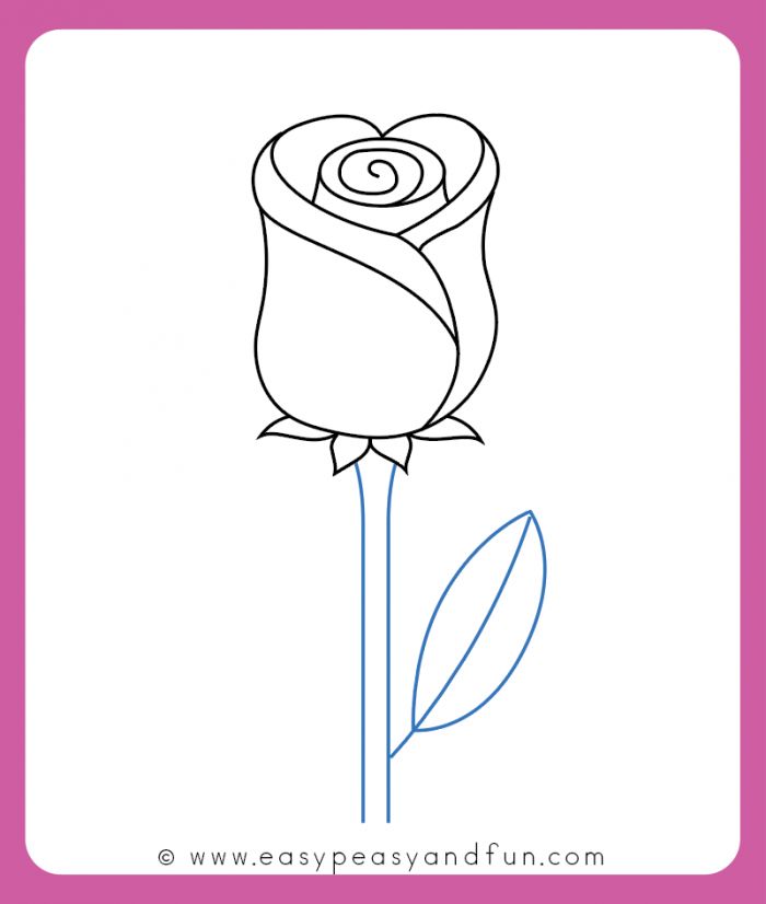 How to Draw a Rose for Beginners and Kids