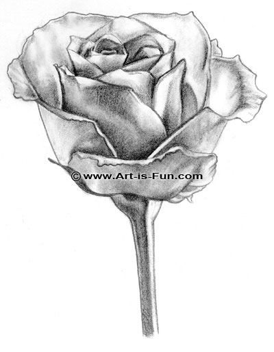 How to Draw a Rose with Tools You Have at Home