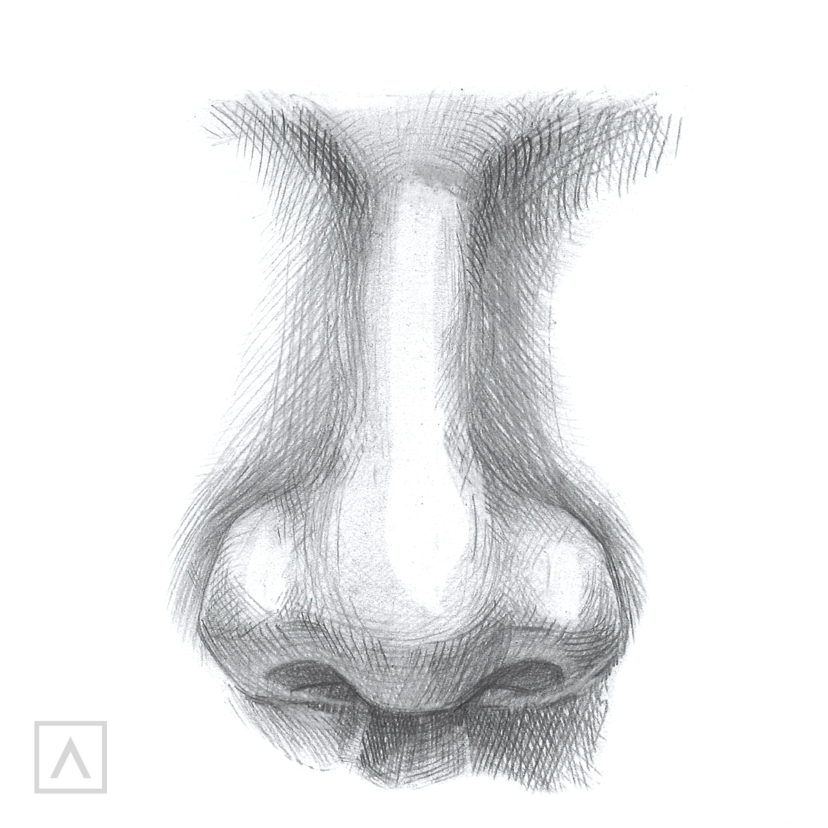 How to Draw a Rounded Nose