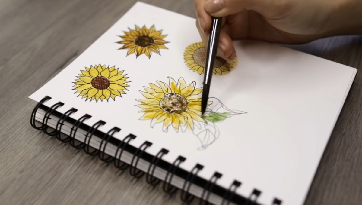 How to Draw a Sunflower in Color