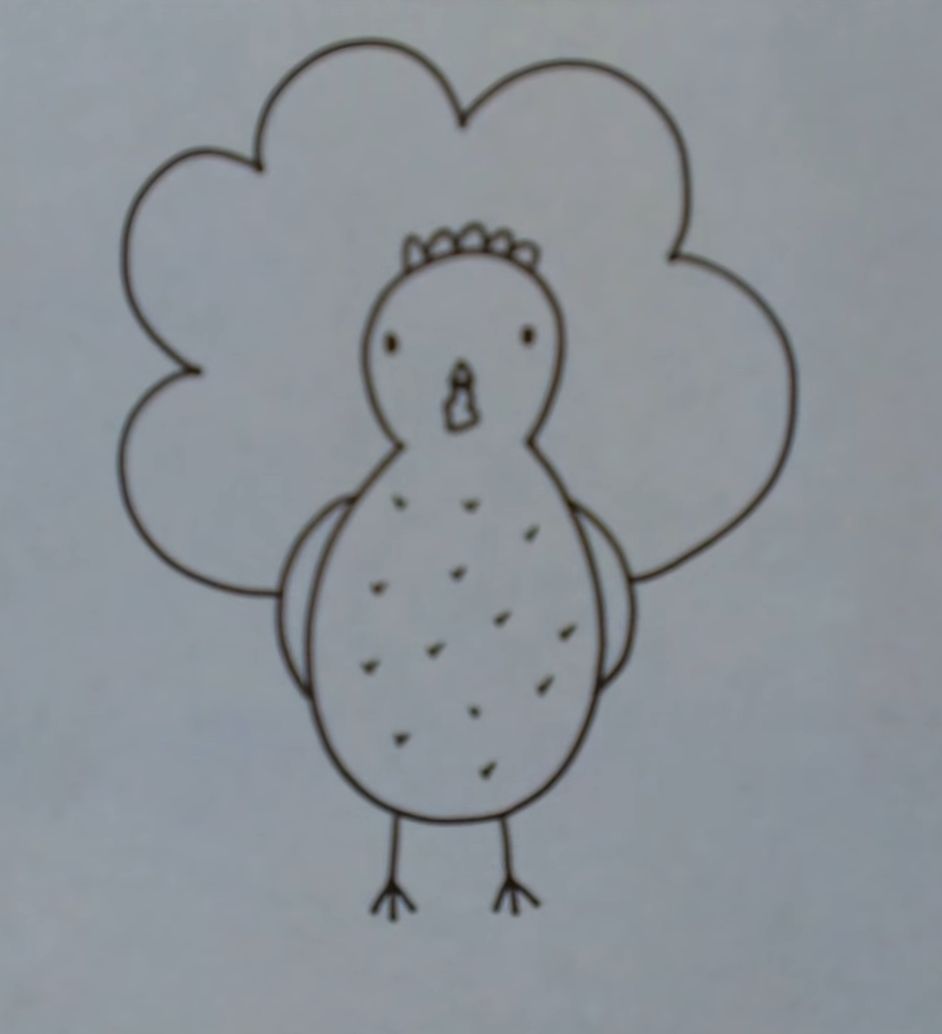 How to Draw a Turkey Front View