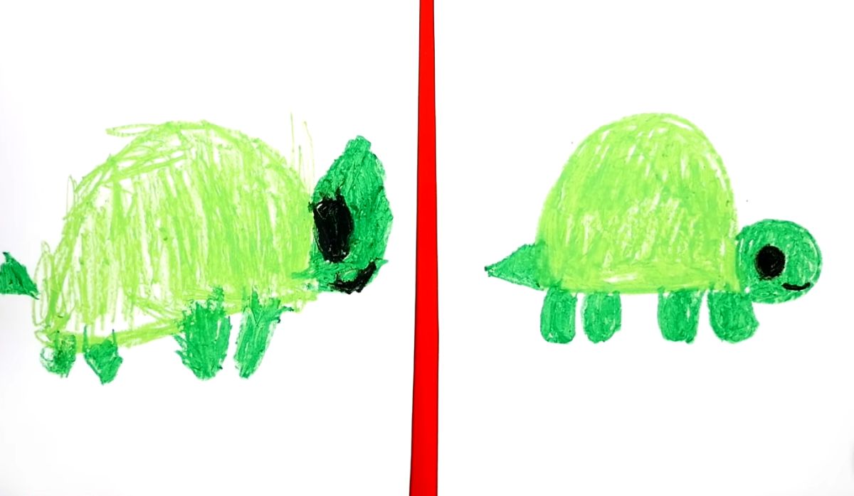 How to Draw a Turtle for Kids