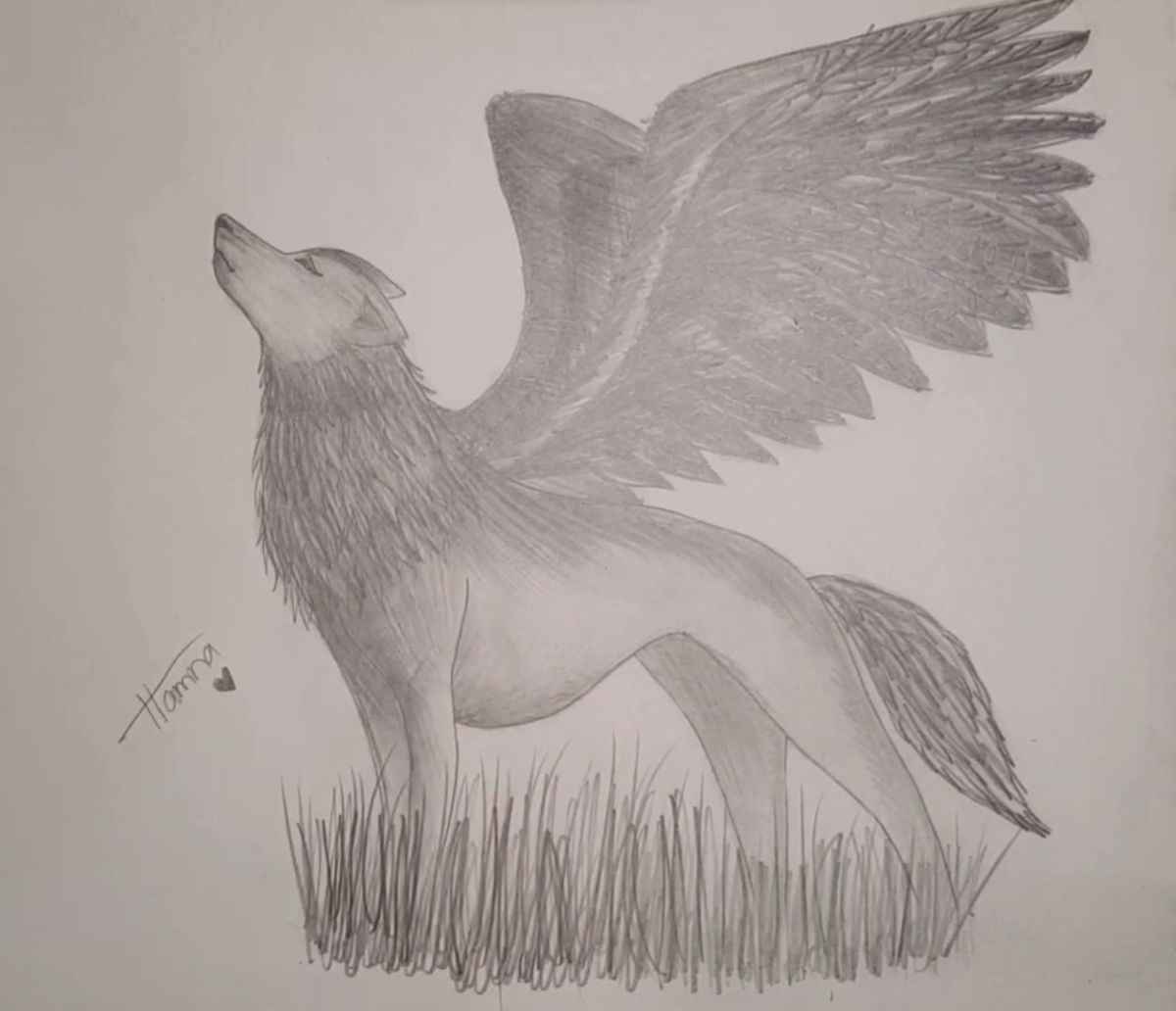 How to Draw a Wolf with Wings