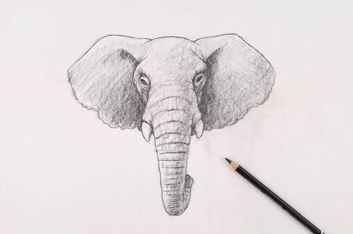 Drawing of an elephant hi-res stock photography and images - Alamy-saigonsouth.com.vn