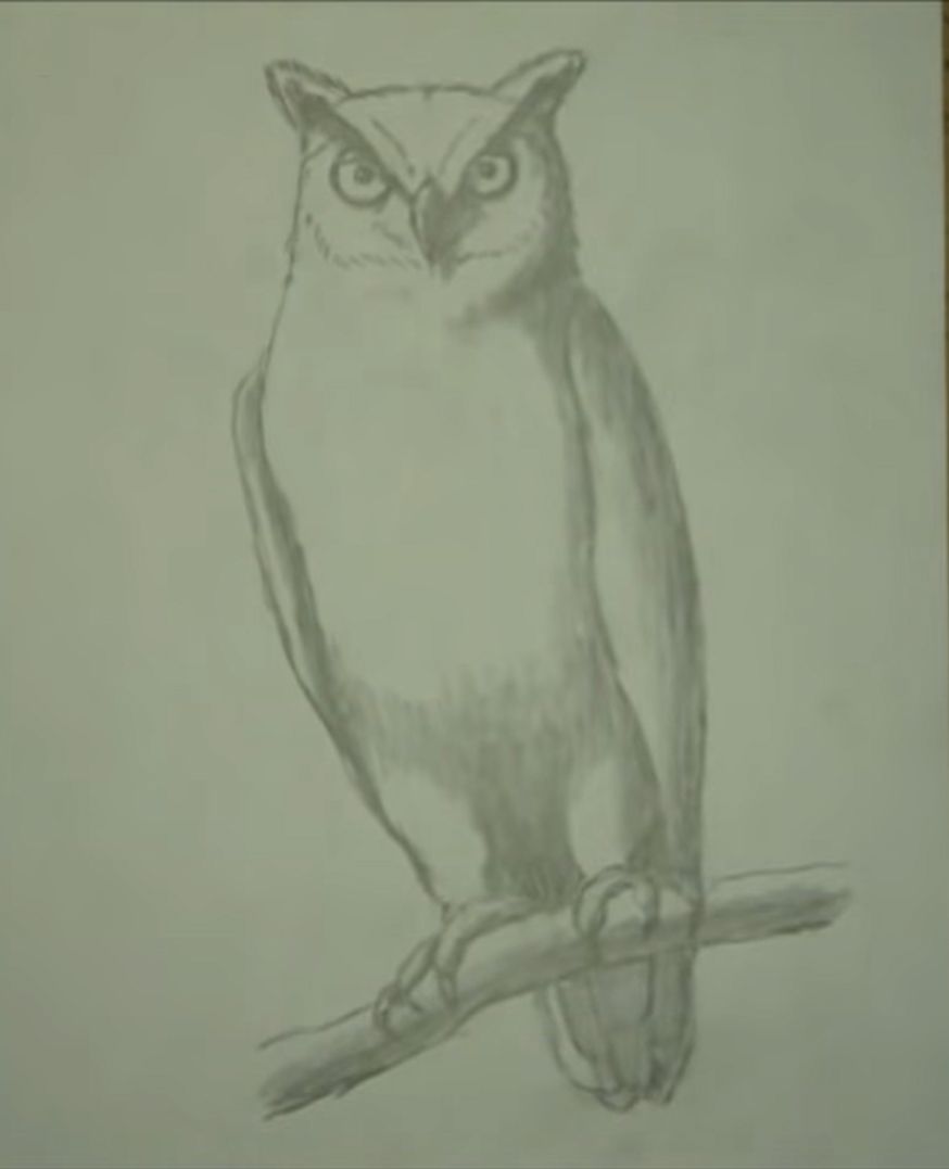 ONLINE Drawing with Graphite: The Face of an Owl with Jonathan Newey