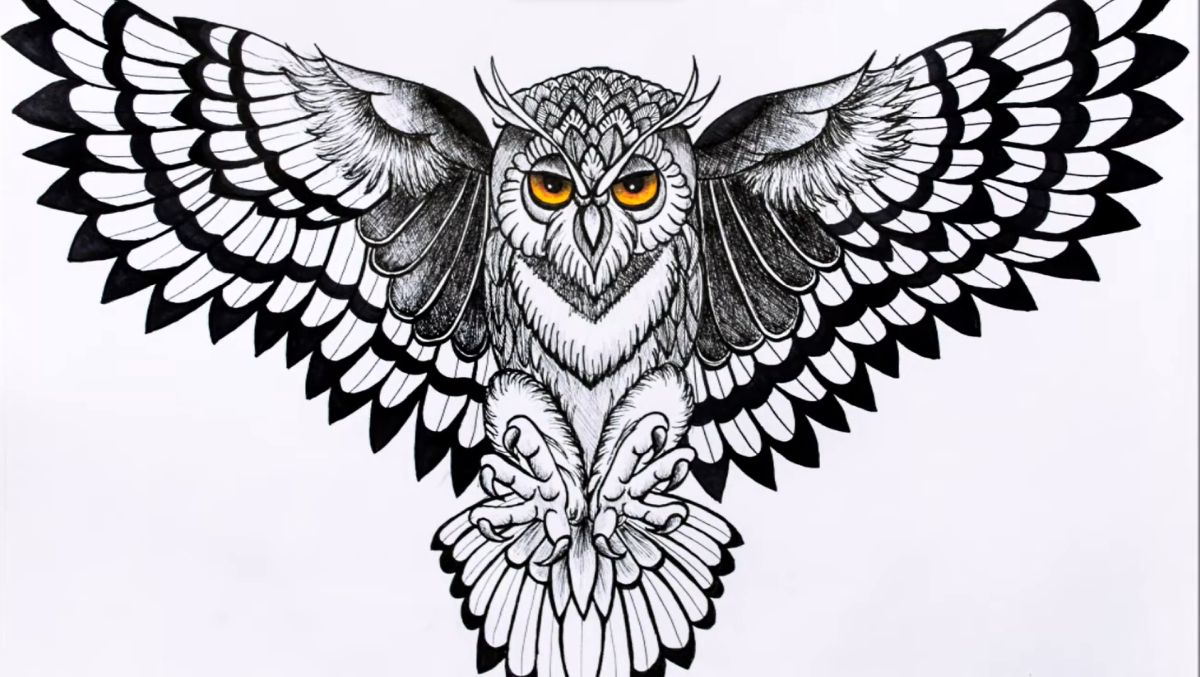 How to Draw an Owl Tattoo