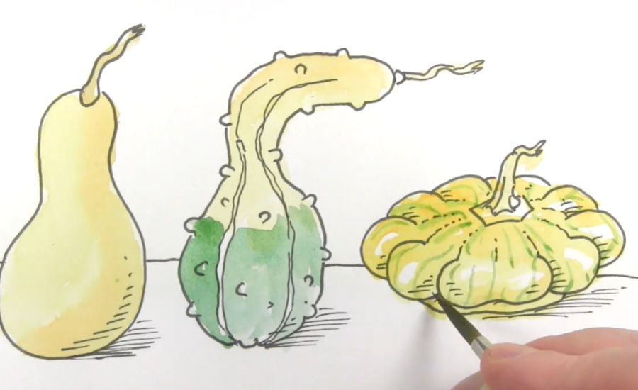 How to draw Gourds and Squashes Real Easy