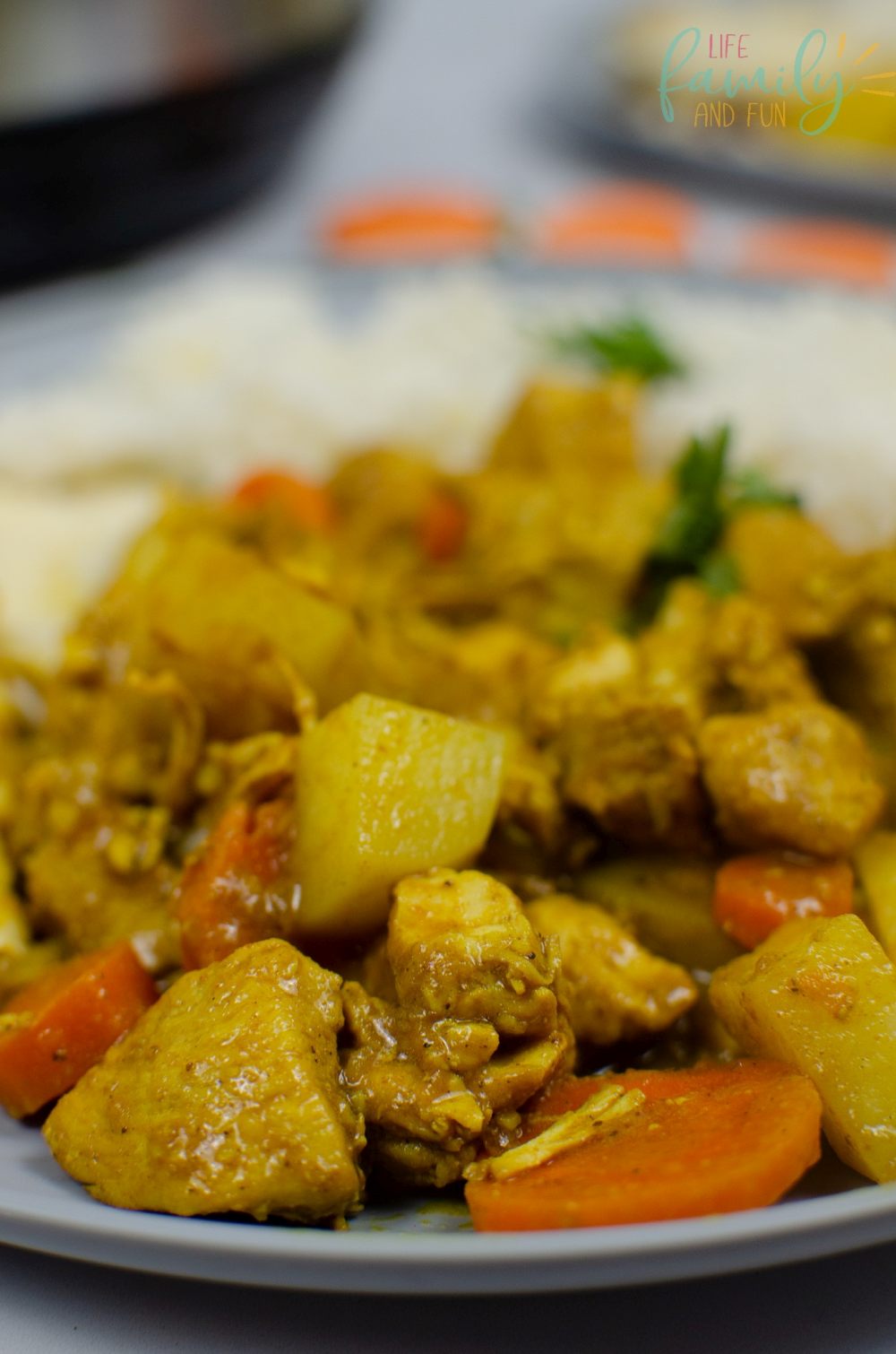 Instant Pot Chicken Curry - Closer View