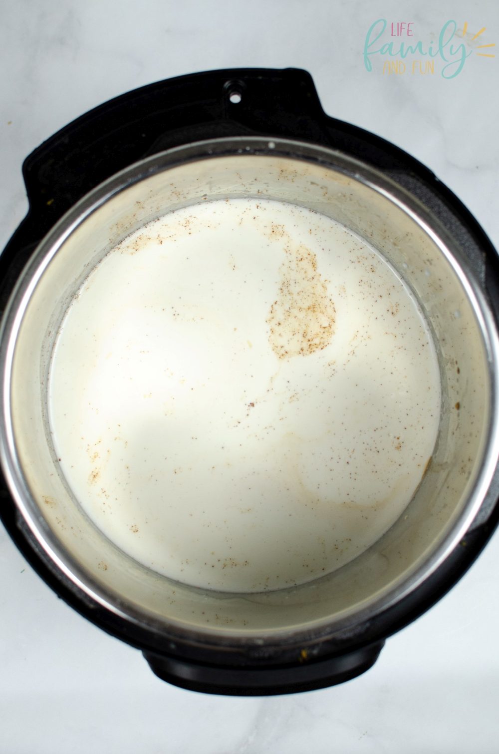 Instant Pot Rice Pudding Recipe - add them inside