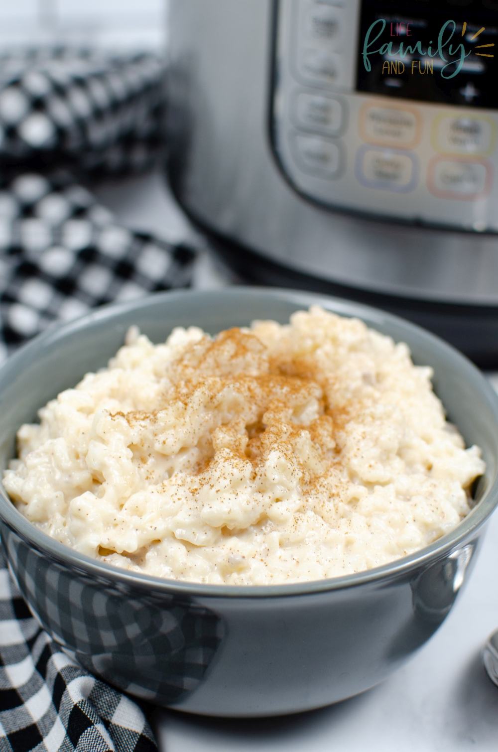 Instant Pot Rice Pudding Recipe - sweet