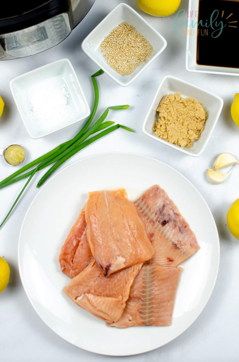 Instant Pot Salmon Teriyaki Ingredients