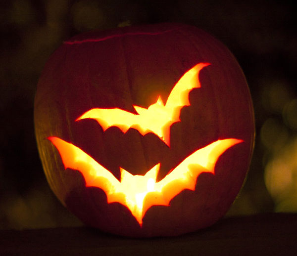 Jack o lantern Bat Pumpkin Carving